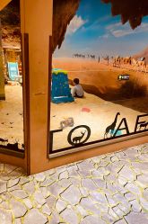 -卡通尼·Safari非洲探索乐园·生日会(金桥国际商业广场店)