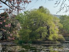 -北海道厅旧本厅舍(旧本庁舎)