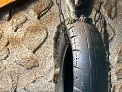 -上海大自然野生昆虫馆