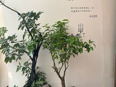 -沏点Trattoria意大利餐厅(新街口店)
