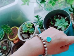 -Tiffany & Co.蒂芙尼
(天津万象城店)