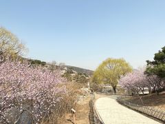 -北京西山国家森林公园