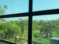 -广府乡下·饭庄(新港东路店)