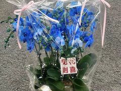 -F.Story 花和故事(新天地店)