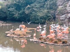 -宁波野生动物园