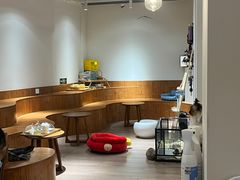 -有猫主题·治愈系猫咖(曾厝垵店)