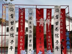 -鲁镇