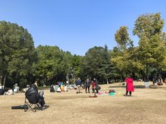 -重庆彩云湖湿地公园