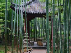 -绳金塔