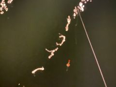 -DGE季风钓虾营地·团建·聚会