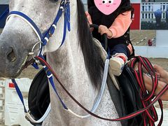 -深业幸福家香蜜湖街道普惠性托育园(合正置地园区)