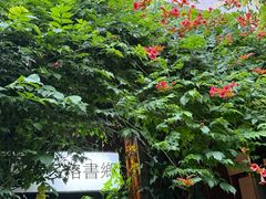 -斯多格书乡(北京大学畅春园店)