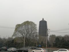 -玲珑塔公园