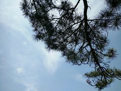 -罗田天堂寨风景区