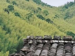 -林坑古村落