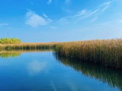 -苏州太湖湖滨国家湿地公园