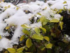 -迪卡侬(赛德店)