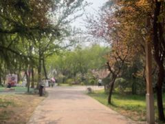 -洛阳市隋唐城遗址植物园