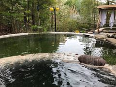 -花水湾第一村温泉大酒店