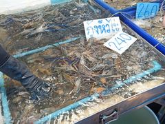 -兰坡海鲜市场