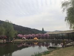 -石塘人家