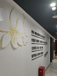 -洁铭新加坡医美