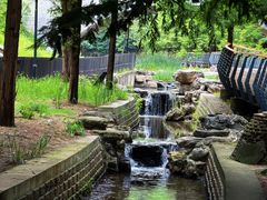 -白水寺森林公园