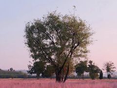 -汉长安城未央宫国家考古遗址公园