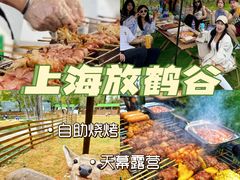 -栖露营camping·天幕烧烤·团建拓展·采摘营地