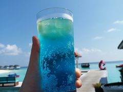 -中央格兰德岛温泉度假酒店 - 全包