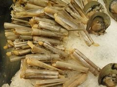 android_upload_pic-玫瑰园西餐厅