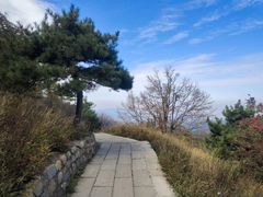 -泰山风景名胜区