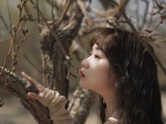 -敦煌山庄摘星阁