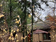 -蜀冈西峰生态公园