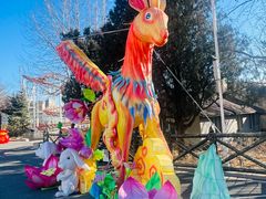 -大连森林动物园