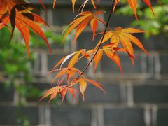 -李鸿章故居