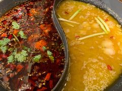 -新辣道鱼火锅(摩尔城店)