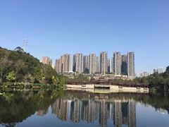 -重庆彩云湖湿地公园