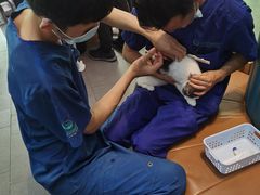 -联合动物医院(光谷诊疗中心)