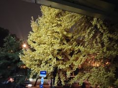 -帕拉泽羽毛球·篮球·乒乓球·健身