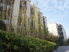 -上海崇明金茂凯悦酒店