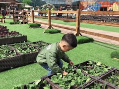 -大族广场Mall&More