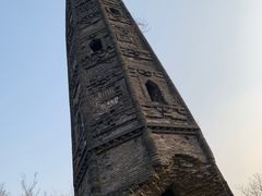 -上海佘山国家森林公园天马山园