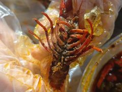 -淮城老友海鲜大咖龙虾烤吧(淮安店)