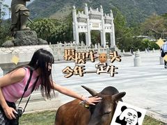 -天坛大佛