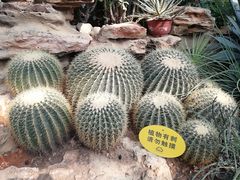 -国家植物园南园