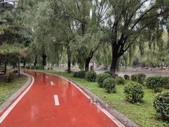-南风大剧院莎梦二人转剧场