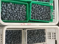 -西郊国际农产品交易中心