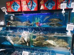 水产区-盒马鲜生(馥邦国际店)