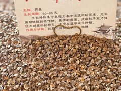 -春满园·邯郸菜发祥地(滏东店)